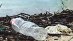 تونس تشارك في مفاوضات حول التلوث البلاستيكي في العاصمة الكندية 'أوتاوا'