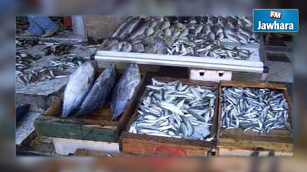  القيروان : حجز كمية من الأسماك الفاسدة في بوحجلة