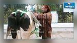 مواطن يحتج صحبة أبقاره أمام مقر ولاية المهدية