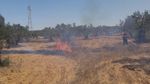 نابل: حريق بأرض فلاحية يأتي على 30 شجرة قوارص