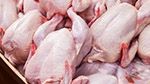 إرتفاع أسعار اللحوم البيضاء: غرفة تجّار لحوم الدواجن تُعلّق (فيديو)